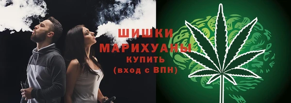 прущие грибы Медвежьегорск