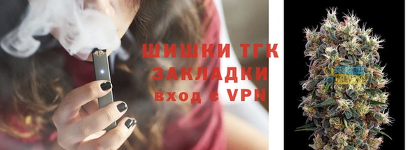 сатива Абаза