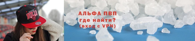 прущие грибы Медвежьегорск