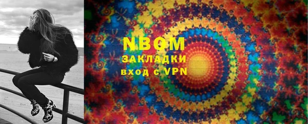 прущие грибы Медвежьегорск