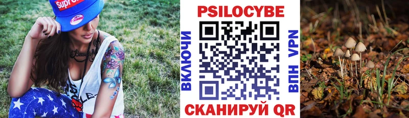 как найти   Шали  Псилоцибиновые грибы GOLDEN TEACHER 