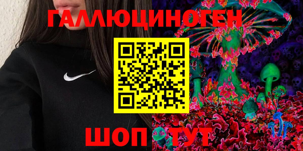 Шали  Галлюциногенные грибы MAGIC MUSHROOMS  Вход с VPN 