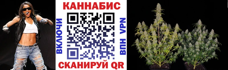 хочу наркоту  Шали  Бошки марихуана план 